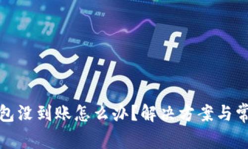 : 小狐狸钱包没到账怎么办？解决方案与常见问题解析