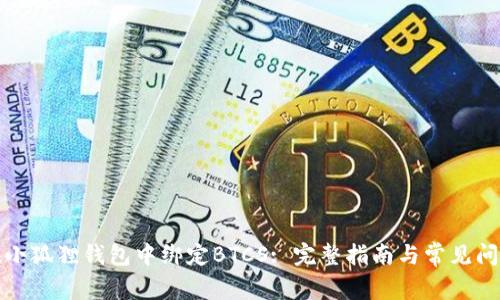 如何在小狐狸钱包中绑定BTCS: 完整指南与常见问题解答