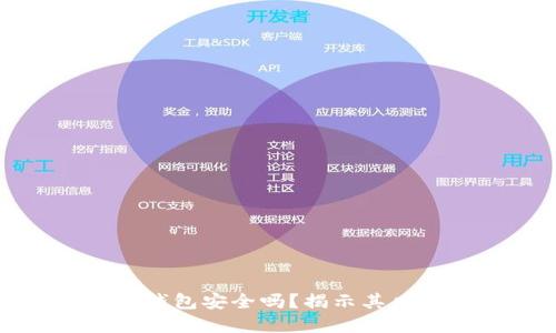 比特币加密钱包安全吗？揭示其风险与可靠性
