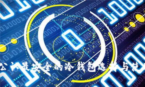 USDT公认最安全的冷钱包选择与使用指南