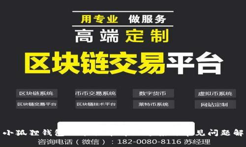 : 小狐狸钱包不能提币解决方案与常见问题解析
