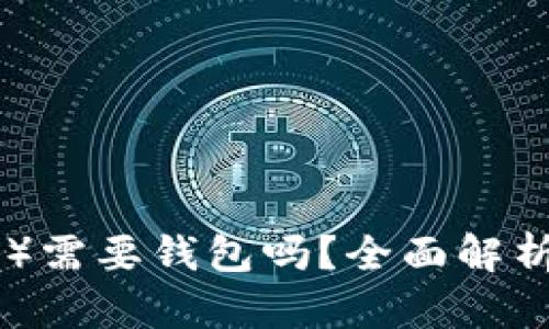 瑞波币（XRP）需要钱包吗？全面解析及使用指南