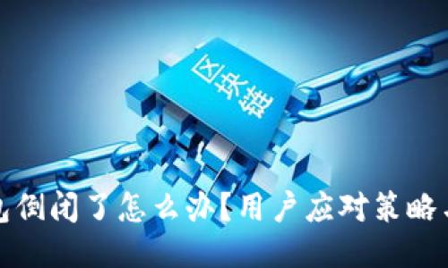 小狐狸钱包倒闭了怎么办？用户应对策略与风险管控