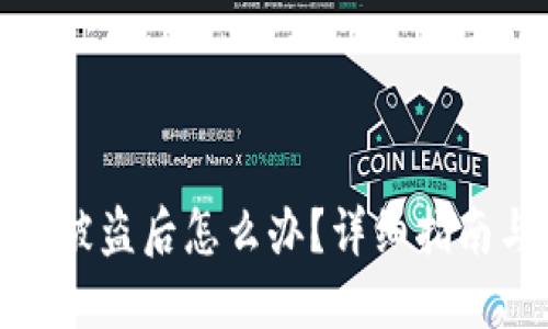 小狐狸钱包被盗后怎么办？详细指南与应对策略