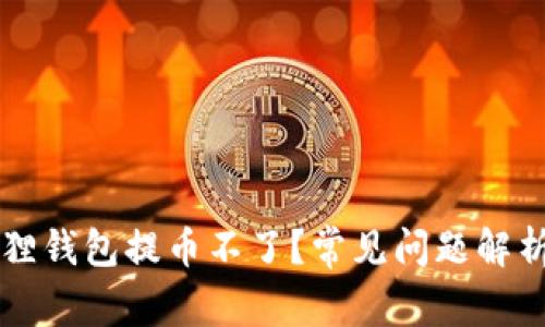 为什么小狐狸钱包提币不了？常见问题解析与解决办法