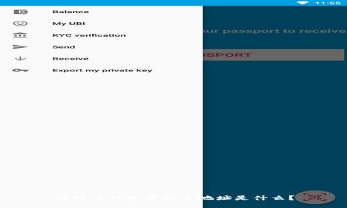 比特币钱包中的主地址是什么？