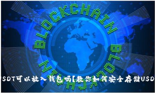 USDT可以放入钱包吗？教你如何安全存储USDT