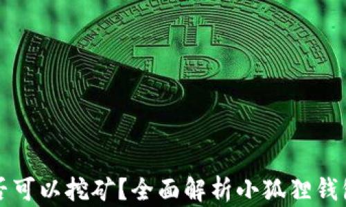 
小狐狸钱包是否可以挖矿？全面解析小狐狸钱包的功能与使用