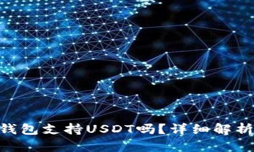 : imToken钱包支持USDT吗？详细解析与使用指南