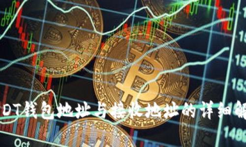 USDT钱包地址与接收地址的详细解析