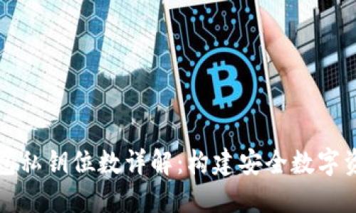 比特币钱包私钥位数详解：构建安全数字资产的基础