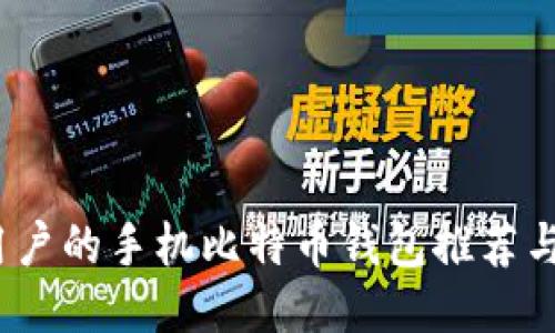 适合iOS用户的手机比特币钱包推荐与使用指南