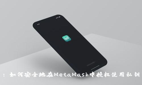 : 如何安全地在MetaMask中授权使用私钥