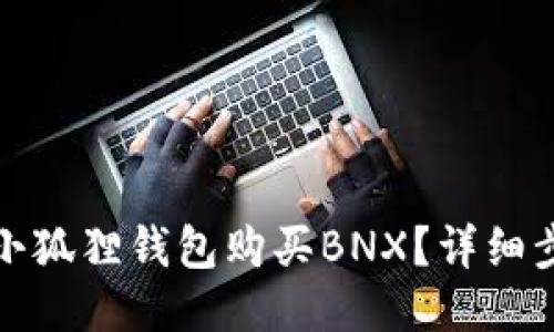 如何通过小狐狸钱包购买BNX？详细步骤与攻略