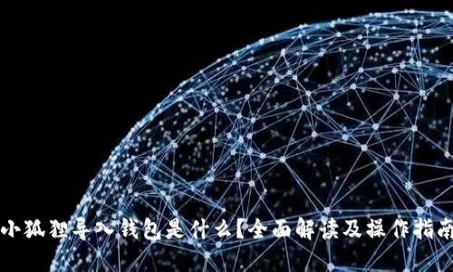 小狐狸导入钱包是什么？全面解读及操作指南