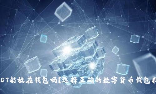 USDT能放在钱包吗？选择正确的数字货币钱包指南
