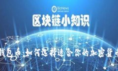 比特钱包币：如何选择适