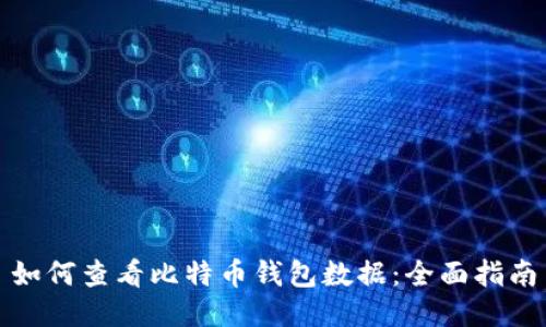 如何查看比特币钱包数据：全面指南
