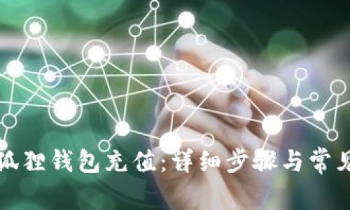 怎样用小狐狸钱包充值：详细步骤与常见问题解答