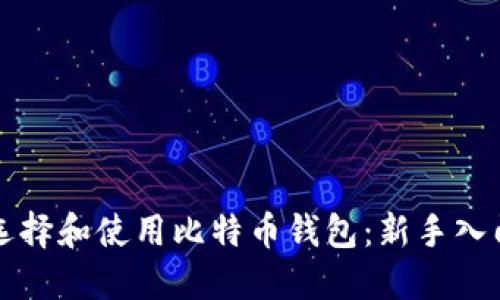 如何选择和使用比特币钱包：新手入门指南