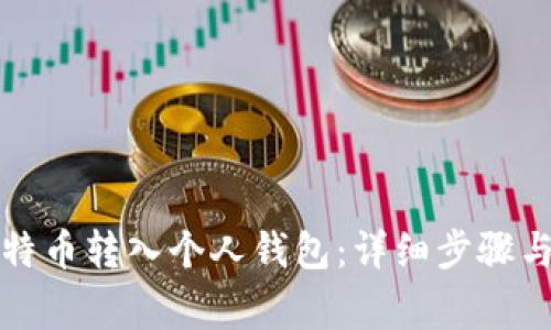 如何将比特币转入个人钱包：详细步骤与注意事项