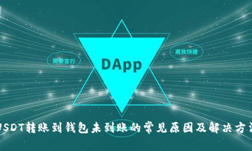 USDT转账到钱包未到账的常见原因及解决方法