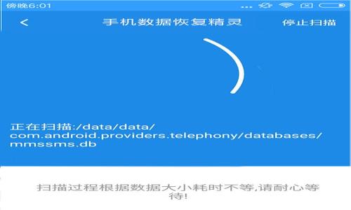 
手机小狐狸钱包怎么质押？详细步骤与注意事项