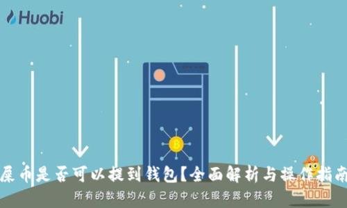 屎币是否可以提到钱包？全面解析与操作指南