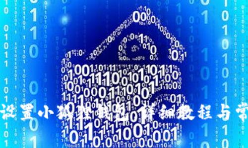 在TP中如何设置小狐狸钱包：详细教程与常见问题解答