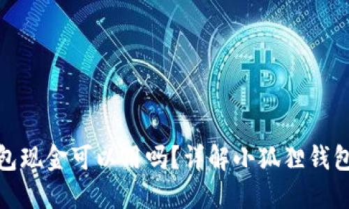 : 小狐狸钱包现金可以用吗？详解小狐狸钱包的支付功能