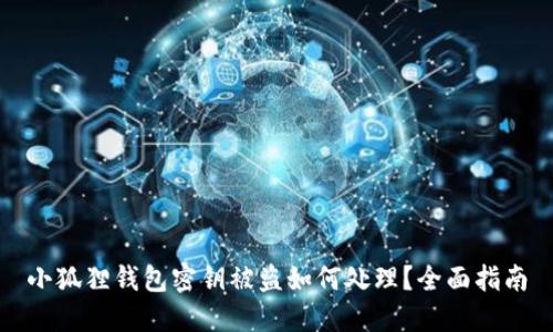 小狐狸钱包密钥被盗如何处理？全面指南