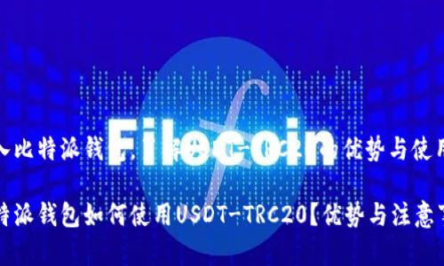 融入比特派钱包，了解USDT-TRC20的优势与使用

比特派钱包如何使用USDT-TRC20？优势与注意事项