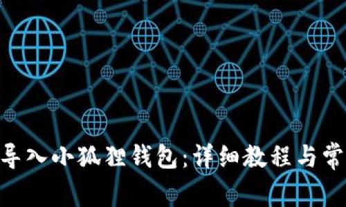 BSC链如何导入小狐狸钱包：详细教程与常见问题解答