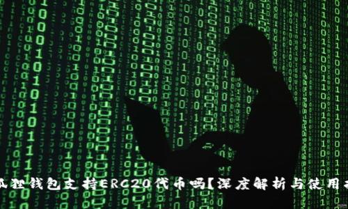 小狐狸钱包支持ERC20代币吗？深度解析与使用指南