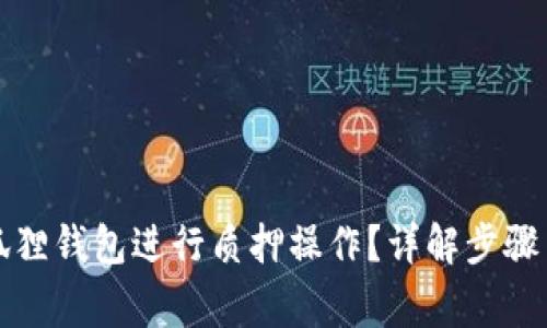 如何在小狐狸钱包进行质押操作？详解步骤与注意事项