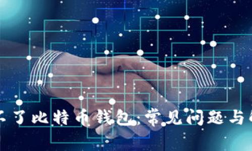 为何开不了比特币钱包：常见问题与解决方案