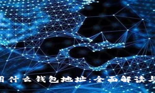 XRP用什么钱包地址：全面解读与指南