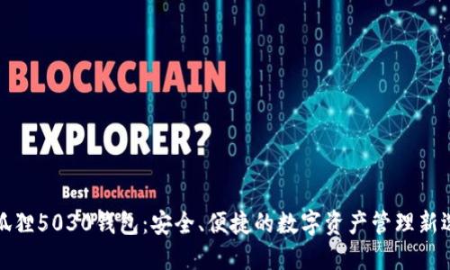 小狐狸5030钱包：安全、便捷的数字资产管理新选择