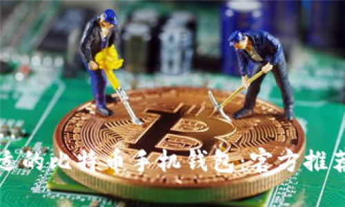如何选择合适的比特币手机钱包：官方推荐与用户指南