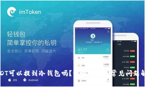 USDT可以提到冷钱包吗？详细解读及常见问题解析