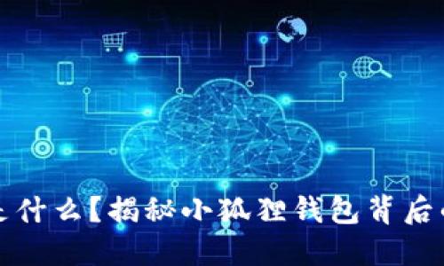 小狐狸钱包是什么？揭秘小狐狸钱包背后的区块链技术