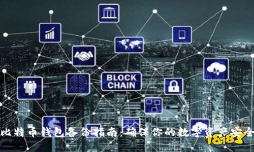 比特币钱包备份指南：确保你的数字资产安全