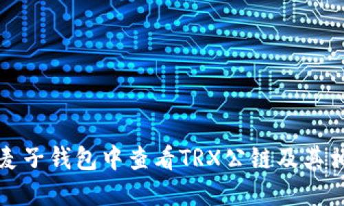 如何在麦子钱包中查看TRX公链及其相关信息