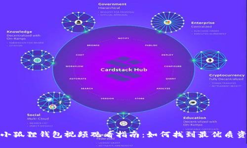 : 小狐狸钱包视频观看指南：如何找到最优质资源