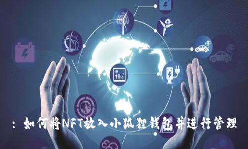 : 如何将NFT放入小狐狸钱包并进行管理