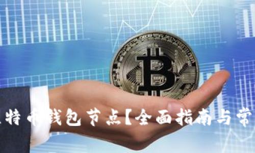 如何查看比特币钱包节点？全面指南与常见问题解答
