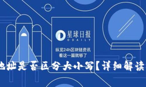 USDT钱包地址是否区分大小写？详细解读与常见问题