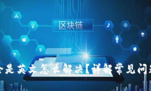 小狐狸钱包全是英文怎么解决？详解常见问题及解决方案