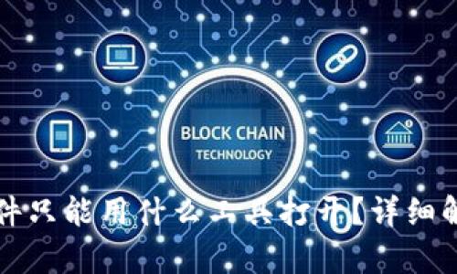 比特币钱包文件只能用什么工具打开？详细解析及使用教程