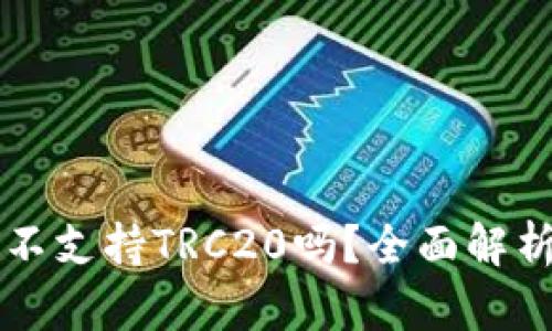 小狐狸钱包不支持TRC20吗？全面解析及用户指引
